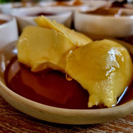 Olea Sigacik Pansiyon & Bistro Seferihisar Ngoại thất bức ảnh