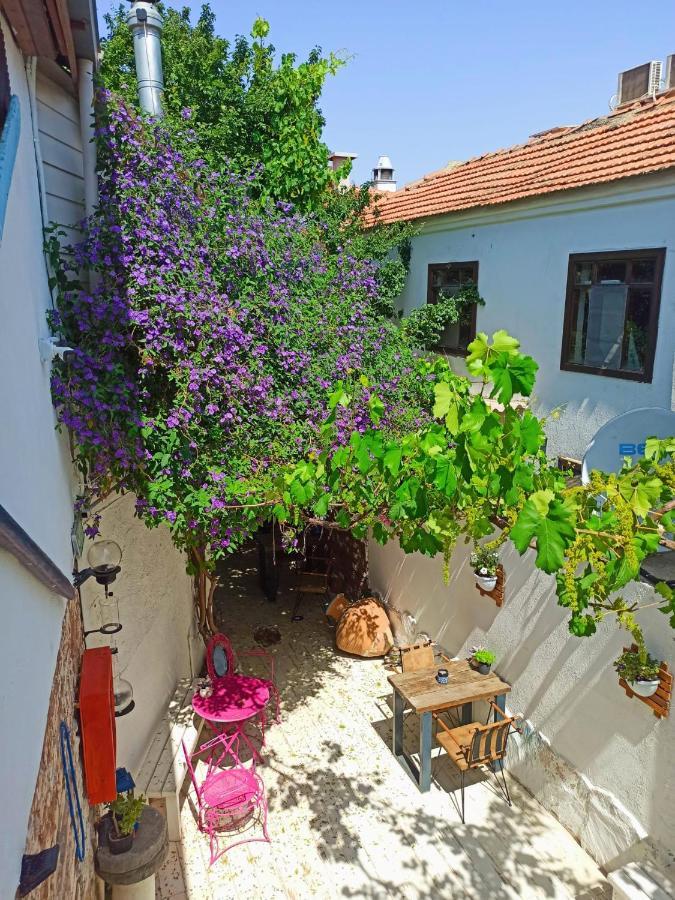 Olea Sigacik Pansiyon & Bistro Seferihisar Ngoại thất bức ảnh