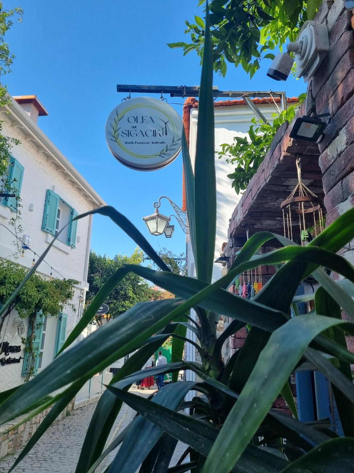 Olea Sigacik Pansiyon & Bistro Seferihisar Ngoại thất bức ảnh
